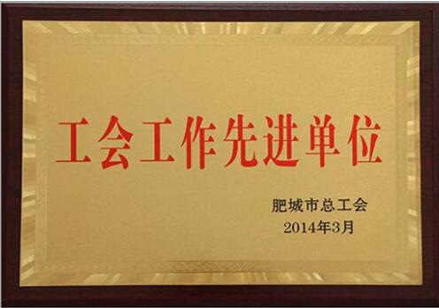 Won the title of exemplary organization of Feicheng Labor Union 